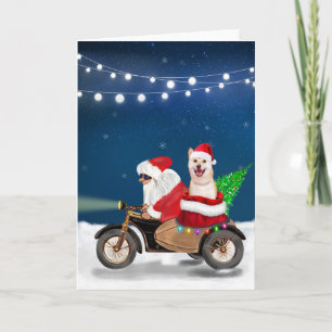 Shiba Inu Dog Christmas Santa Claus   Card