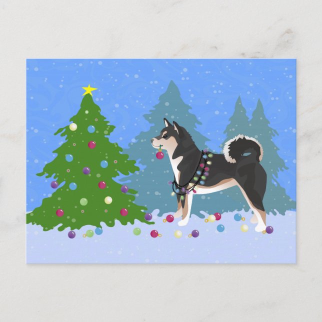 Shiba Inu Dog Decorating Christmas Tree Holiday Postcard (Front)