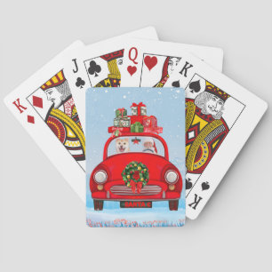 Shiba Inu Dog In Car With Santa Claus Playing Cards