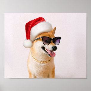 Shiba Inu dog in Santa Claus red hats Poster