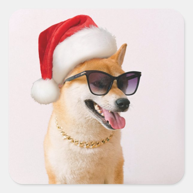 Shiba Inu dog in Santa Claus red hats Square Sticker (Front)