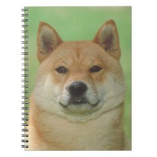 Shiba Inu Dog Notebook