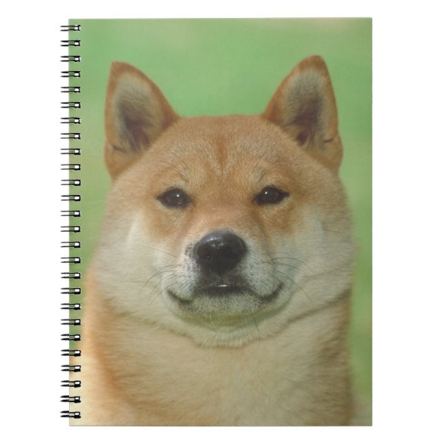 Shiba Inu Dog Notebook (Front)