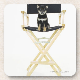Shiba Inu dog on director's chair Coaster