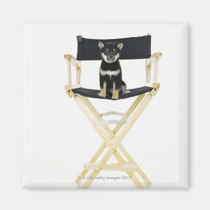 Shiba Inu dog on director's chair Magnet