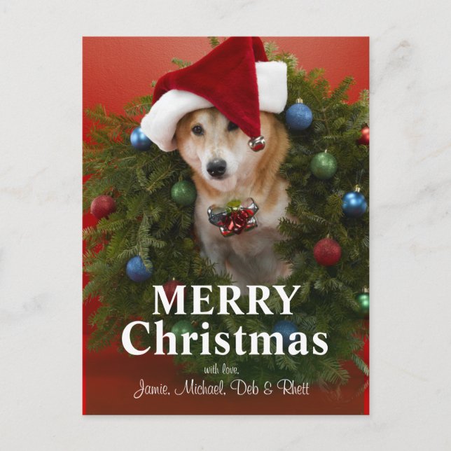 Shiba Inu dog sitting in Christmas wreath Holiday Postcard (Front)