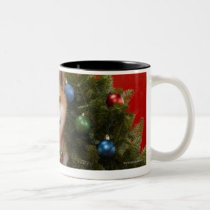Shiba Inu dog sitting in Christmas wreath Two-Tone Coffee Mug