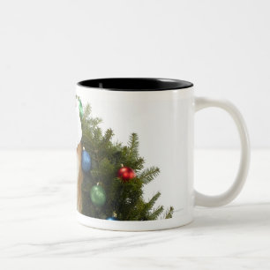 Shiba Inu dog wearing Santa hat sitting in Two-Tone Coffee Mug