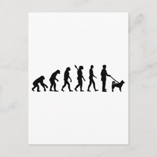 Shiba inu evolution postcard
