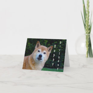 shiba inu happy birthday card