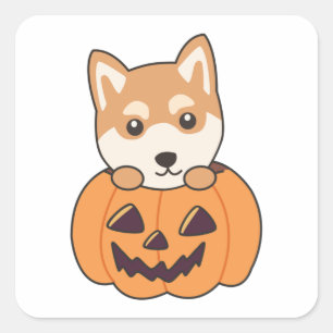 Shiba Inu In Pumpkin Sweet Dogs Happy Halloween Sq Square Sticker