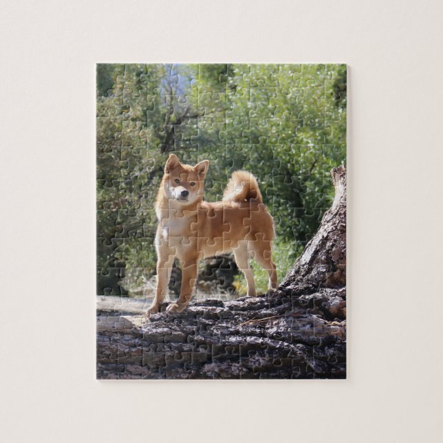 Shiba Inu Jigsaw Puzzle (Vertical)