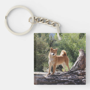 Shiba Inu Key Ring