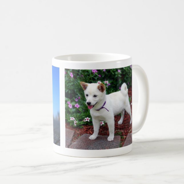 Shiba-inu Maru Coffee Mug (Front Right)