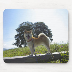 Shiba Inu Mouse Mat