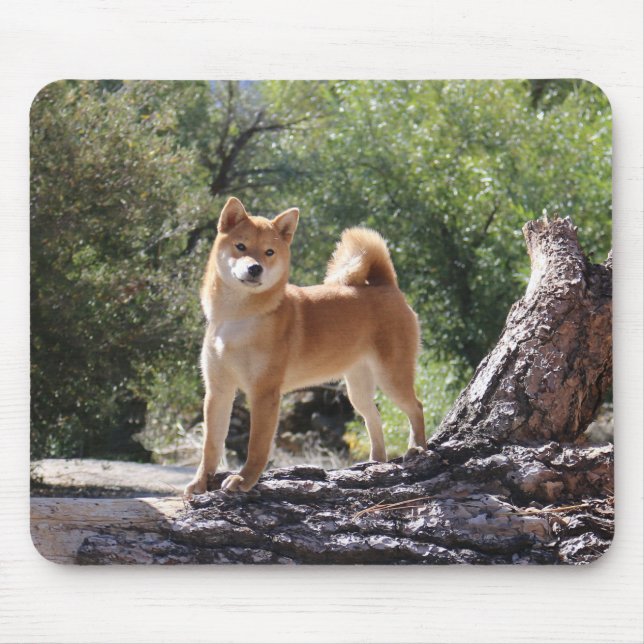 Shiba Inu Mouse Mat (Front)
