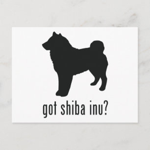 Shiba Inu Postcard