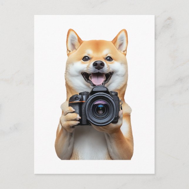 Shiba Inu     Postcard (Front)