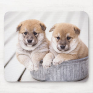 Shiba Inu puppies in aluminium tub Mouse Mat