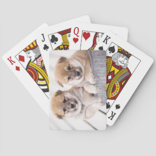 Shiba Inu puppies in aluminium tub Playing Cards