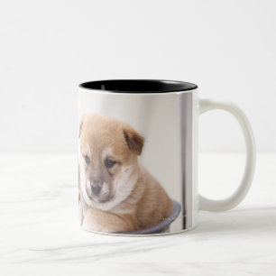 Shiba Inu puppies in aluminium tub Two-Tone Coffee Mug