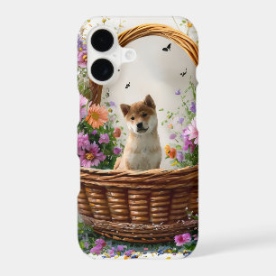 Shiba Inu Puppy