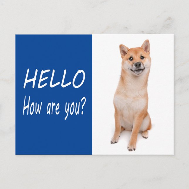 Shiba Inu Puppy Dog Greeting Post Card (Front)