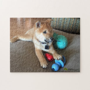 Shiba Inu Puppy With Colourful Toys Photograph Jigsaw Puzzle
