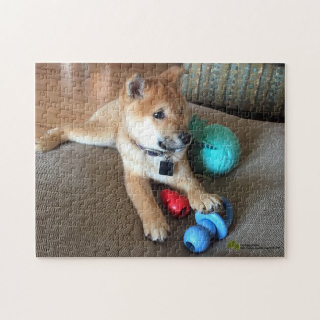 Shiba Inu Puppy With Colourful Toys Photograph Jigsaw Puzzle (Horizontal)