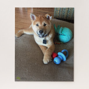 Shiba Inu Puppy With Colourful Toys Photograph Jigsaw Puzzle