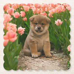 Shiba Inu Spring Flowers Paper Coaster