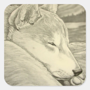 Shiba Inu Stickers Dog Lover Shiba Inu Art Sticker