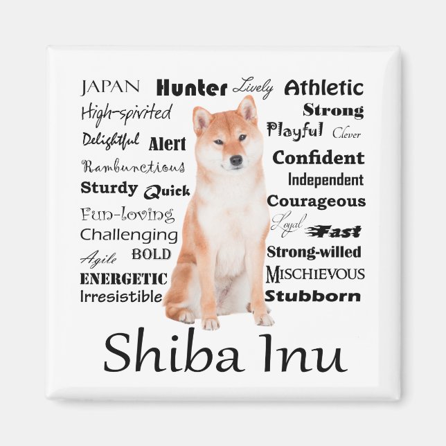 Shiba Inu Traits Magnet (Front)