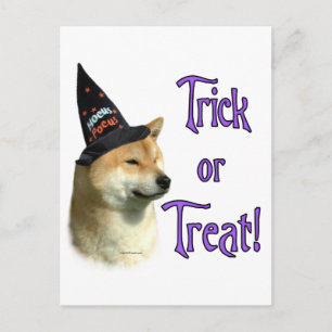 Shiba Inu Trick Postcard