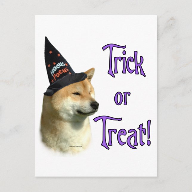 Shiba Inu Trick Postcard (Front)