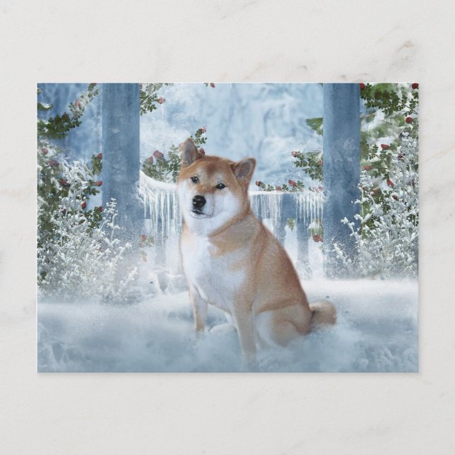 Shiba Inu Winter Postcard (Front)