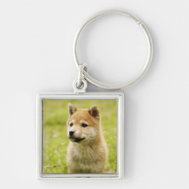 Shiba-ken puppy key ring (Front)