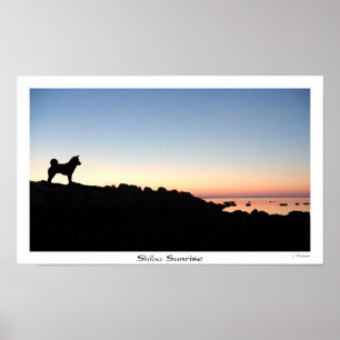 Shiba Sunrise Poster