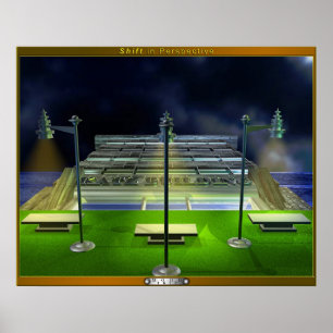 Shift in Perspective Poster