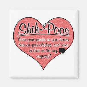 Shih-Poo Paw Prints Dog Humour Magnet