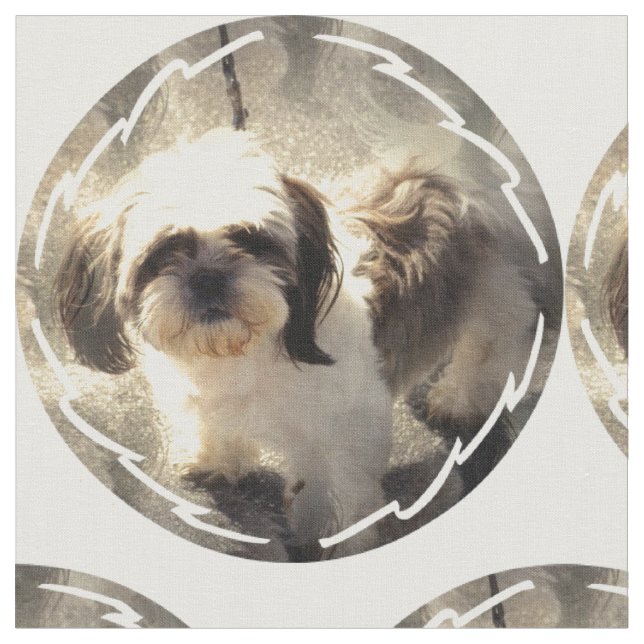 shih-tsu-2 fabric (Close Up)