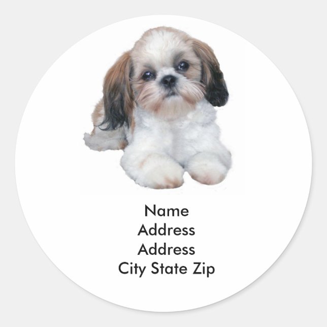 Shih Tzu Address Label (Front)