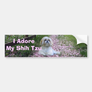 Shih Tzu Adore Bumper Sticker