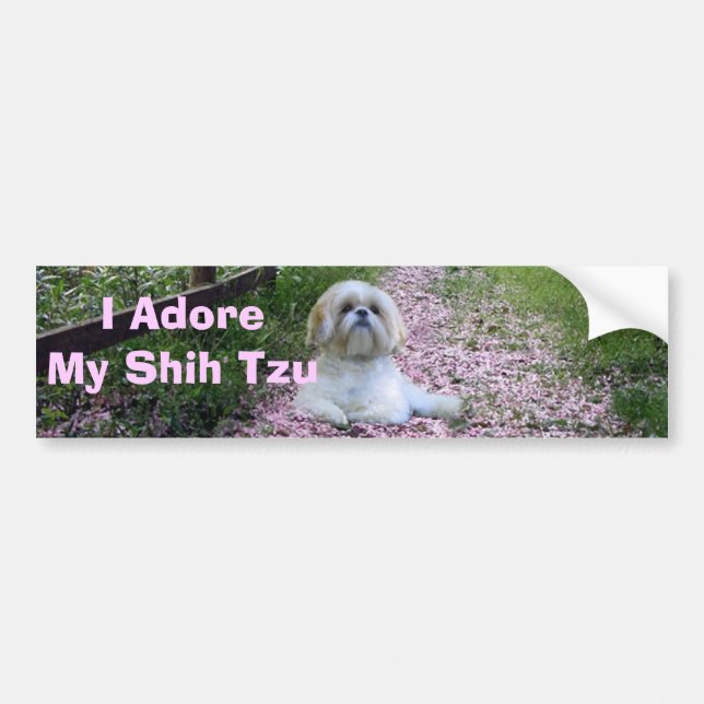 Shih Tzu Adore Bumper Sticker (Front)