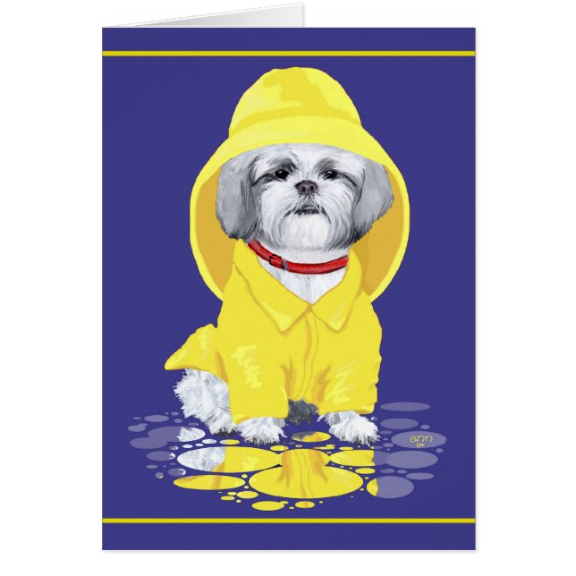 Shih Tzu April Showers (Front)