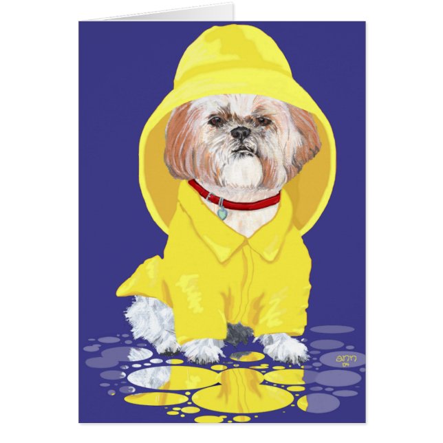 Shih Tzu April Showers (Front)