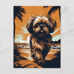 Shih-tzu at the beach postcard