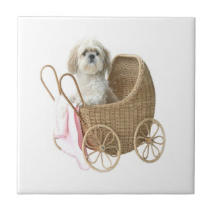 Shih Tzu baby carriage Tile
