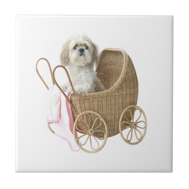 Shih Tzu baby carriage Tile (Front)