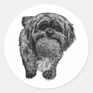 Shih Tzu & Ball Playful Dog Art Sticker